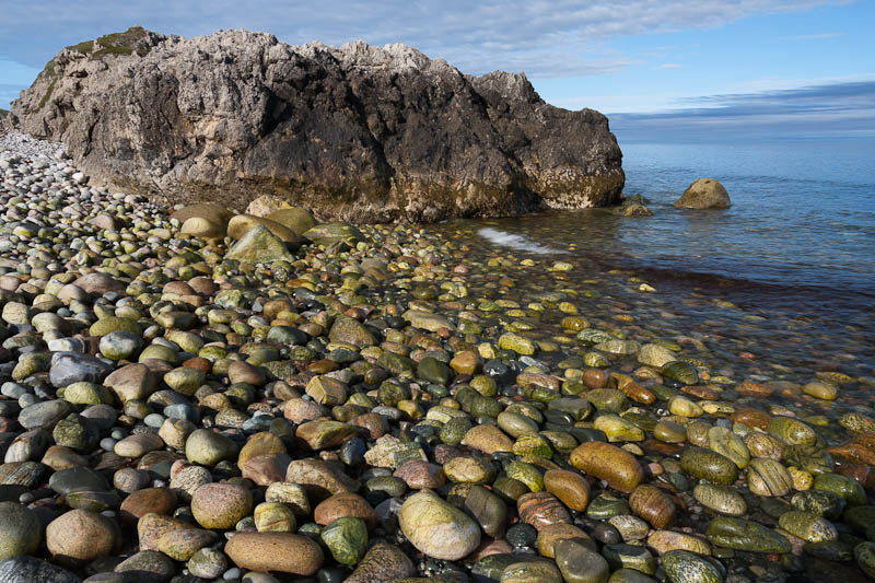 Newfoundland No-0598.jpg